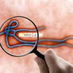 Ebola in Congo supera 4.000 casi: 1.850 morti e allarme globale
